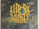ELMORE JAMES TO KNOW A MAN 1969 BLUE HORIZON 7-66230 Gatefold Slve 2 LP UK RARE 