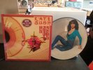 Kate Bush THE KICK INSIDE EMI EMCP 3223 Picture Disc Ltd Ed 1979 NM