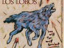 LOS LOBOS HOW WILL THE WOLF SURVIVE VINILE LP NUOVO SIGILLATO