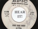 The Flairs DOO WOP ROCKER 45 (Epic 9447 PROMO) Shake Shake Sherry /The Memory