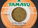 LA NUEVA ESCENCIA - Estas en mi camino / tu me haces feliz / PANAMA GUAGUANCO 45