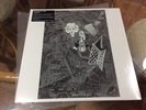 RUDIMENTARY PENI Cacophony LP 2013 remaster mint