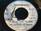 THE SHADOWS OF KNIGHT - 