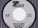 TEEN NORMAN PETTY PROD. Mickey Boyd & The Plain Viewers on 7 ARTS ?? HEAR ??