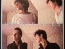The NECESSARIES - Big Sky - 1981 ORIGINAL UK Sire LP - ERNIE BROOKS - VG++