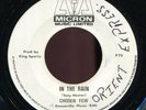 Chosen Few - In The Rain / Night & Day Micron 7