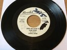 Northern Soul Orig Demo “Open The Door To Your Heart” -Darrell Banks (Revilot)