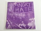 ANGRY HATE / SLOTH  Split 7