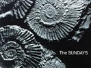 The Sundays READING WRITING ARITHMETIC RSD 2018 Vinyl Record Store Day