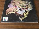 BLACK CAT BONES BARBED WIRE SANDWICH  RARE WLP  WHITE LABEL PROMO BLUES PSYCH