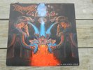 DISMEMBER 1991 Like An Ever Flowing Stream VG+ LP (plays EX/NM) METAL speed