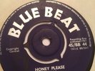 BOBBY KINGDOM AND THE BLUE BEATS: