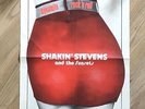Shakin Stevens and The Sunsets Dynamite Records Holland Poster Rockabilly VGC.