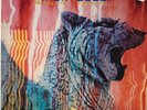 Amon Düül II ?– Wolf City        LP   VG+++