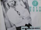 LP: Greg X. Volz - No Room In The Middle - Spark Music - SK7001, River Records -