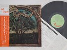 LP Steeleye Span Now We Are Six CHR1053 CHRYSALIS Japan Vinyl OBI