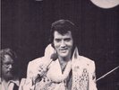 ELVIS  PRESLEY 1977  