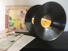 Elton John   Goodbye Yellow Brick Road   Vinyl LPs   Records Near Mint