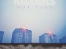 The killers hot fuss vinyl