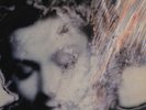 Malaria  ?– Emotion   LP   VG+++