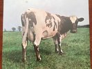 Factory Sealed Pink Floyd Atom Heart Mother Vinyl Record