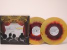 Fall Out Boy From Under The Cork Tree 2xLP vinyl maroon gold blink 182 paramore