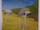 SAND: Head In The Sand LP (w/ press kit insert, promo photo & bumper sticker, p