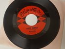 Garage Surf  The Wailers  