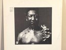 After the Rain by Muddy Waters 1969 Vinyl Cadet Concept Records 1st Press Blues
