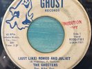 The Ghosters -Michigan Garage Band - Audition Copy - Rare
