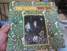 Garage classic THE LEAVES Hey Joe MIRA 3005 excellent '66 ORIGINAL fuzz PSYCH