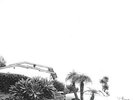 TIMBER TIMBRE-HOT DREAMS  (US IMPORT)  VINYL LP NEW