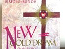 New Gold Dream by Simple Minds 1982 Vinyl A&M Records LE Gold/Purple