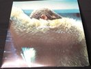 Lemonade — Beyonce (180g, Yellow Colored Vinyl) Vinyl 2LP, New, Unsealed.