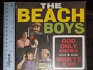 The Beach Boys 