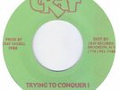 Chuck Turner / Trying To Conquer I