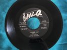 THE FERROS Nick and his Jaguars-TOUGH CAT/COME HOME MY LOVE 45 Hi-Q Records