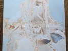Pale Saints - 