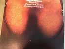 Country Blues -BIG JOE WILLIAMS - DON'T YOUR PLUMS LOOK MELLOW....BLUESWAY LP