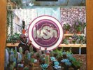 Lush “Lovelife” LP (Shoegaze, Blur, Elastica)