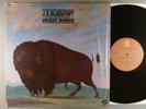 J.D. Blackfoot  The Song Of Crazy Horse
