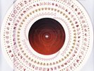 A Perfect Circle The Doomed & Disillusioned Vinyl Promo Limited Edition