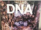 DNA A Taste Of lp No Wave NYC Punk KBD DIY Arto Lindsay Eno