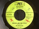 Revalons, Pet 802, Dreams Are For Fools & This Is The Moment, Great uptempo