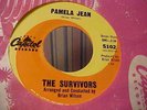 The Survivors - EX Vinyl & EX Audio - Pamela Jean - Capital 5102