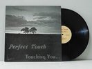Perfect Touch LP Touching You no label detroit modern soul disco