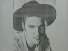 ELVIS PRESLEY Nashville Outtakes US ORG Wizardo LP not TMOQ + Extra Insert