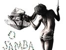 Various / David Byrne - Brazil Classics 2:O Samba Vinyl LP Luaka Bop NEW