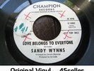 ? SANDY WYNNS promo 'Love Belongs To Everyone' EX+ Rare In-Demand Northern Soul