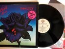 Thin Lizzy - Black Rose - 1977 Promo 1st Press BSK 3338 (NM) Ultrasonic Clean